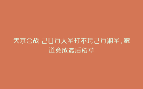 天京会战！20万大军打不垮2万湘军，粮道竟成最后稻草！