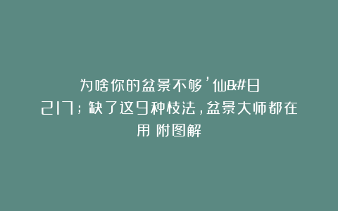 为啥你的盆景不够’仙’？缺了这9种枝法，盆景大师都在用！附图解