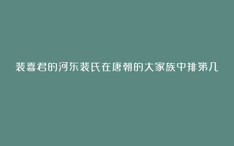 裴喜君的河东裴氏在唐朝的大家族中排第几？