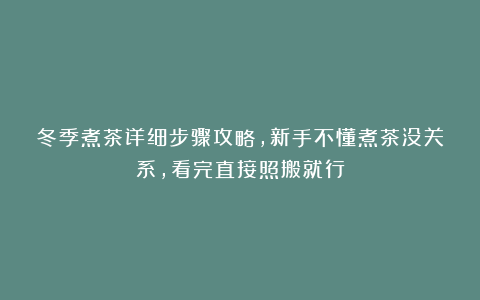 冬季煮茶详细步骤攻略，新手不懂煮茶没关系，看完直接照搬就行