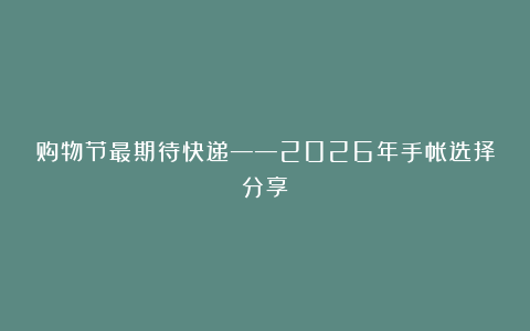 购物节最期待快递——2026年手帐选择分享