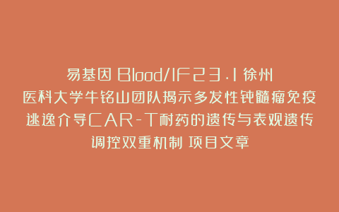 易基因：Blood/IF23.1：徐州医科大学牛铭山团队揭示多发性骨髓瘤免疫逃逸介导CAR-T耐药的遗传与表观遗传调控双重机制｜项目文章