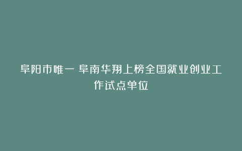 阜阳市唯一！阜南华翔上榜全国就业创业工作试点单位！