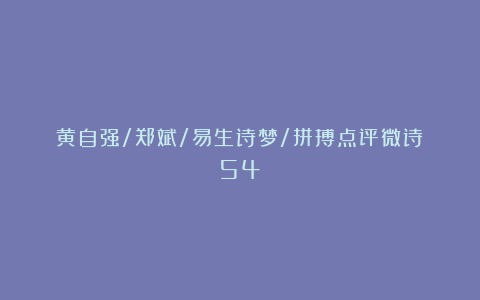 黄自强/郑斌/易生诗梦/拼搏点评微诗（54）