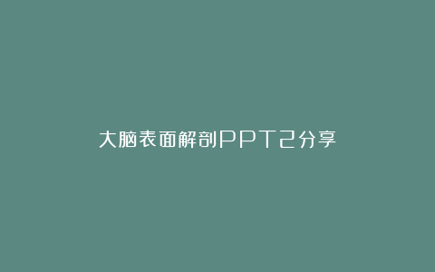大脑表面解剖PPT2分享