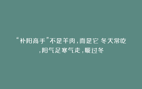 “补阳高手”不是羊肉，而是它！冬天常吃，阳气足寒气走，暖过冬