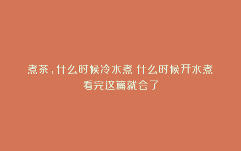煮茶，什么时候冷水煮？什么时候开水煮？看完这篇就会了