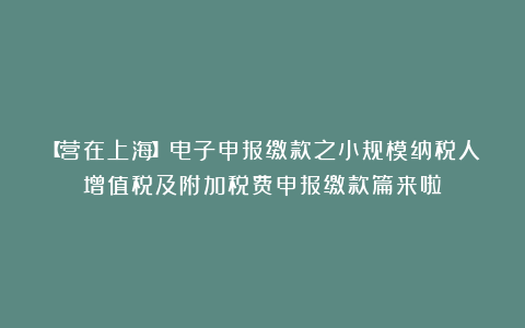【营在上海】电子申报缴款之小规模纳税人增值税及附加税费申报缴款篇来啦！