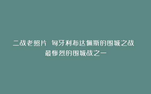 二战老照片 匈牙利布达佩斯的围城之战 最惨烈的围城战之一