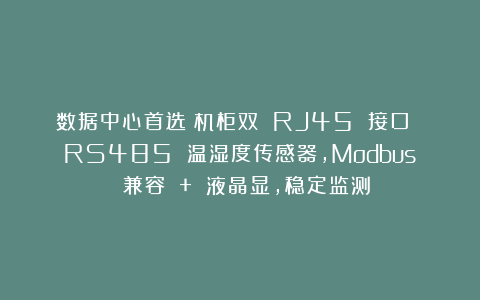 数据中心首选!机柜双 RJ45 接口 RS485 温湿度传感器,Modbus 兼容 + 液晶显,稳定监测