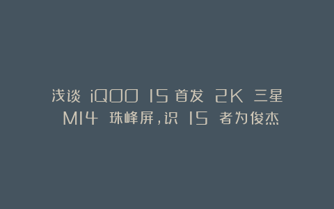 浅谈 iQOO 15：首发 2K 三星 M14 珠峰屏，识 15 者为俊杰！