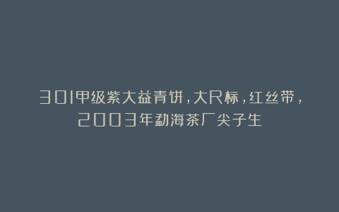 301甲级紫大益青饼，大R标，红丝带，2003年勐海茶厂尖子生