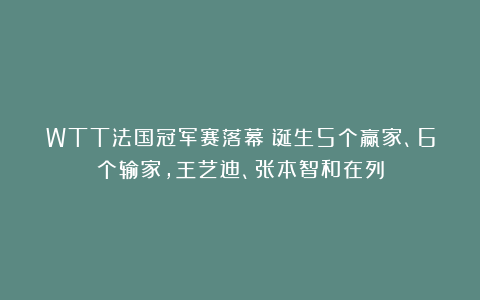 WTT法国冠军赛落幕！诞生5个赢家、6个输家，王艺迪、张本智和在列