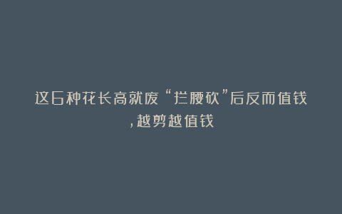 这6种花长高就废！“拦腰砍”后反而值钱，越剪越值钱！