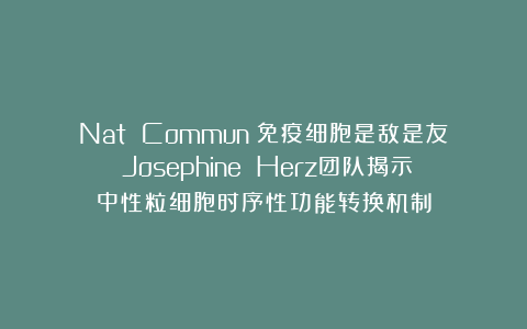 Nat Commun：免疫细胞是敌是友？Josephine Herz团队揭示中性粒细胞时序性功能转换机制