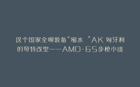 这个国家全员装备“缩水 ”AK：匈牙利的奇特改型——AMD-65步枪小谈