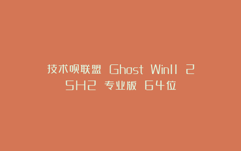 技术员联盟 Ghost Win11 25H2 专业版 64位