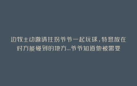 边牧主动邀请拄拐爷爷一起玩球，特意放在对方能碰到的地方…爷爷知道他被需要