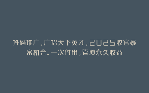 抖码推广，广招天下英才，2025收官暴富机会。一次付出，管道永久收益