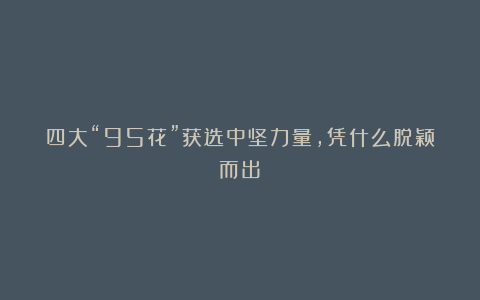 四大“95花”获选中坚力量，凭什么脱颖而出？