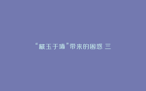 “藏玉于墙”带来的困惑（三）