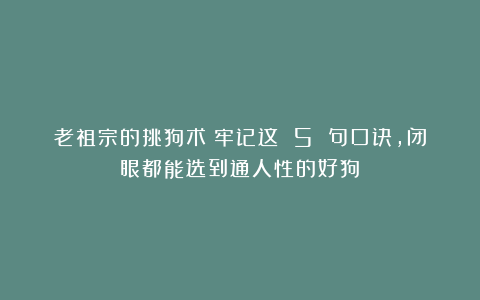老祖宗的挑狗术：牢记这 5 句口诀，闭眼都能选到通人性的好狗！