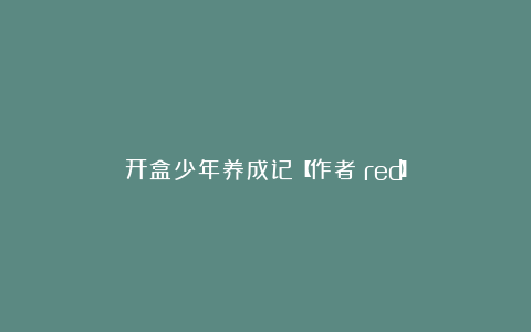 开盒少年养成记【作者：red】