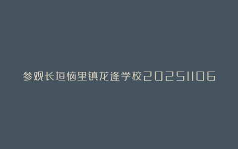 参观长垣恼里镇龙逄学校20251106