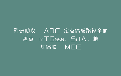 科研助攻 ｜ ADC 定点偶联路径全面盘点∶ mTGase, SrtA, 糖基偶联 ｜ MCE