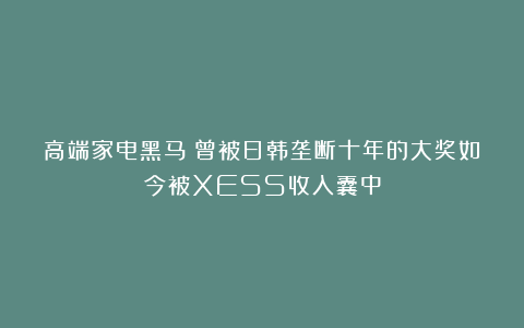 高端家电黑马:曾被日韩垄断十年的大奖如今被XESS收入囊中