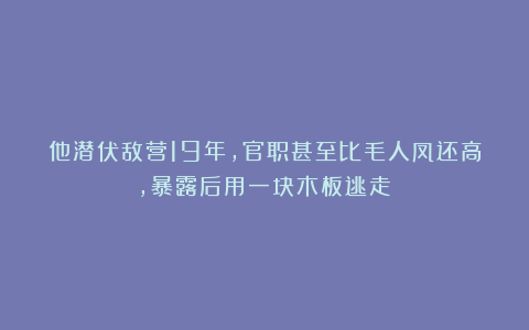 他潜伏敌营19年,官职甚至比毛人凤还高,暴露后用一块木板逃走!