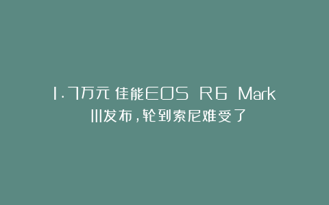 1.7万元！佳能EOS R6 Mark III发布，轮到索尼难受了？