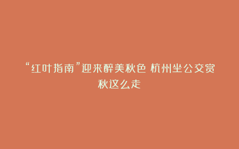 “红叶指南”迎来醉美秋色!杭州坐公交赏秋这么走
