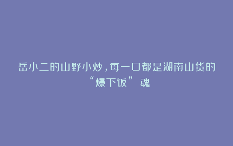 岳小二的山野小炒，每一口都是湖南山货的 “爆下饭” 魂！