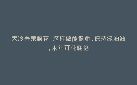 天冷养茉莉花，这样做能保命，保持绿油油，来年开花翻倍！