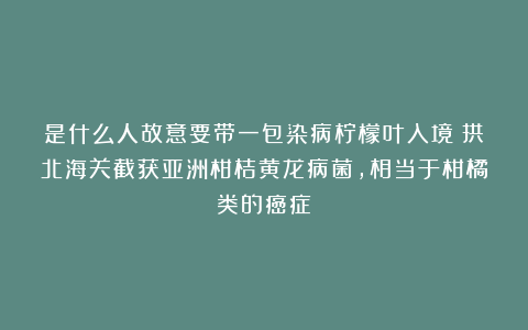 是什么人故意要带一包染病柠檬叶入境？拱北海关截获亚洲柑桔黄龙病菌，相当于柑橘类的癌症！