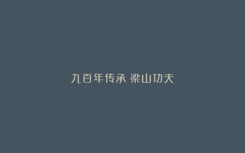 九百年传承：梁山功夫