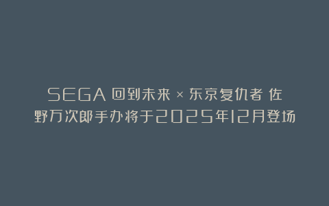SEGA《回到未来》×《东京复仇者》佐野万次郎手办将于2025年12月登场