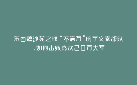 东西魏沙苑之战:“不满万”的宇文泰部队,如何击败高欢20万大军