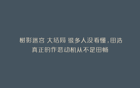 《树影迷宫》大结局：很多人没看懂，田浩真正的作恶动机从不是田畅