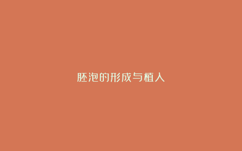 胚泡的形成与植入