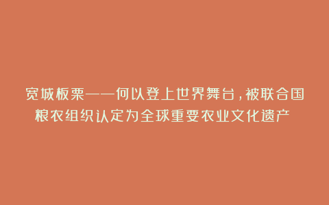 宽城板栗——何以登上世界舞台，被联合国粮农组织认定为全球重要农业文化遗产？！