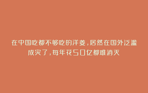 在中国吃都不够吃的洋姜，居然在国外泛滥成灾了，每年花50亿都难消灭！