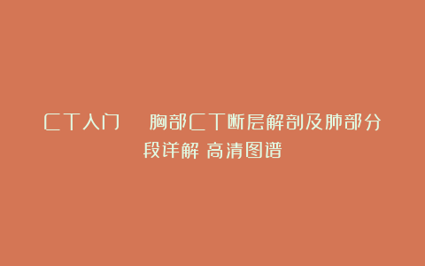 CT入门 | 胸部CT断层解剖及肺部分段详解（高清图谱）