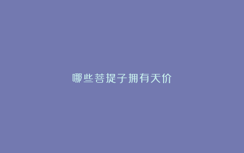哪些菩提子拥有天价？