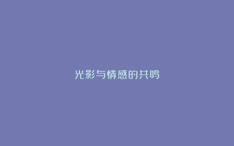 光影与情感的共鸣