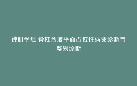 骨肌学组：脊柱含液平面占位性病变诊断与鉴别诊断