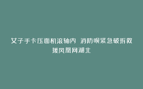 女子手卡压面机滚轴内 消防员紧急破拆救援凤凰网湖北