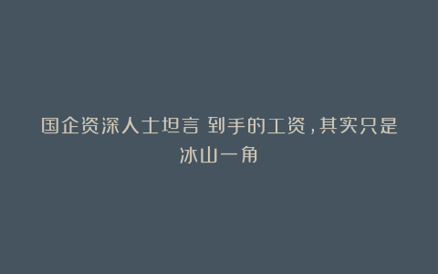 国企资深人士坦言：到手的工资，其实只是冰山一角！
