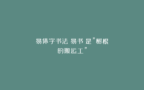 易体字书法（易书）是”树根的搬运工”